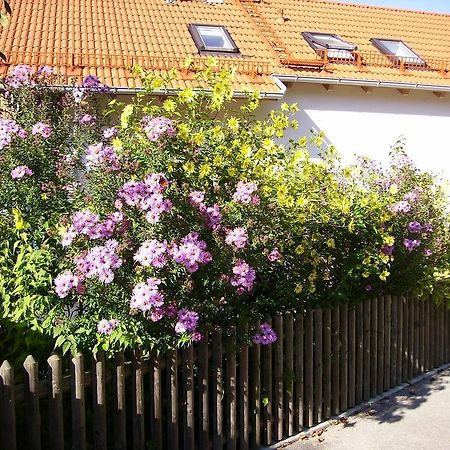 Wiflinger Graben Einfamilienhaus Vila Worth Exterior foto